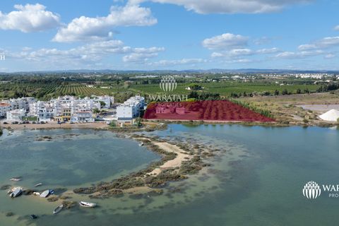 Farm i Tavira, Faro, Tavira - € 2.500.000 | Ref: QuintaRiaFormos - foto 7